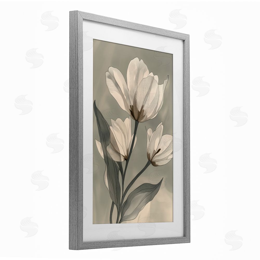 Annabelle Hall Times Three Budding Magnolias Gray Framed Print Under Glass Art