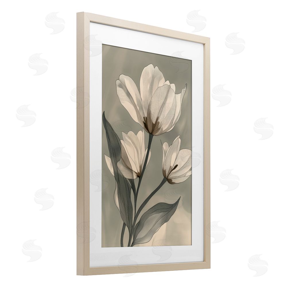 Annabelle Hall Times Three Budding Magnolias Birch Framed Print Under Glass Art