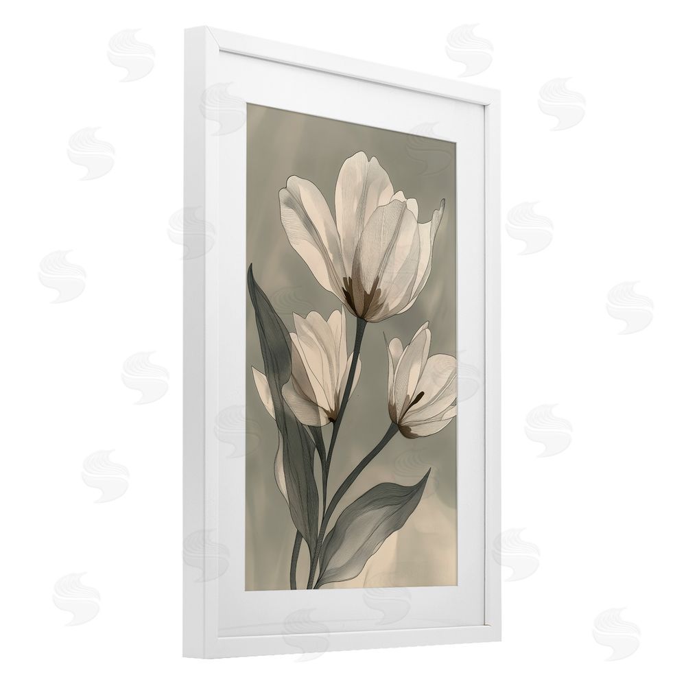 Annabelle Hall Times Three Budding Magnolias White Framed Print Under Glass Art