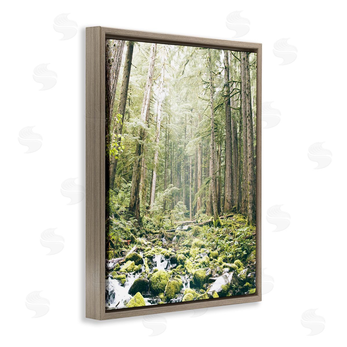 Leah Straatsma Verdant Forest Glow Wilderness Brown Floating Frame Canvas Art Print
