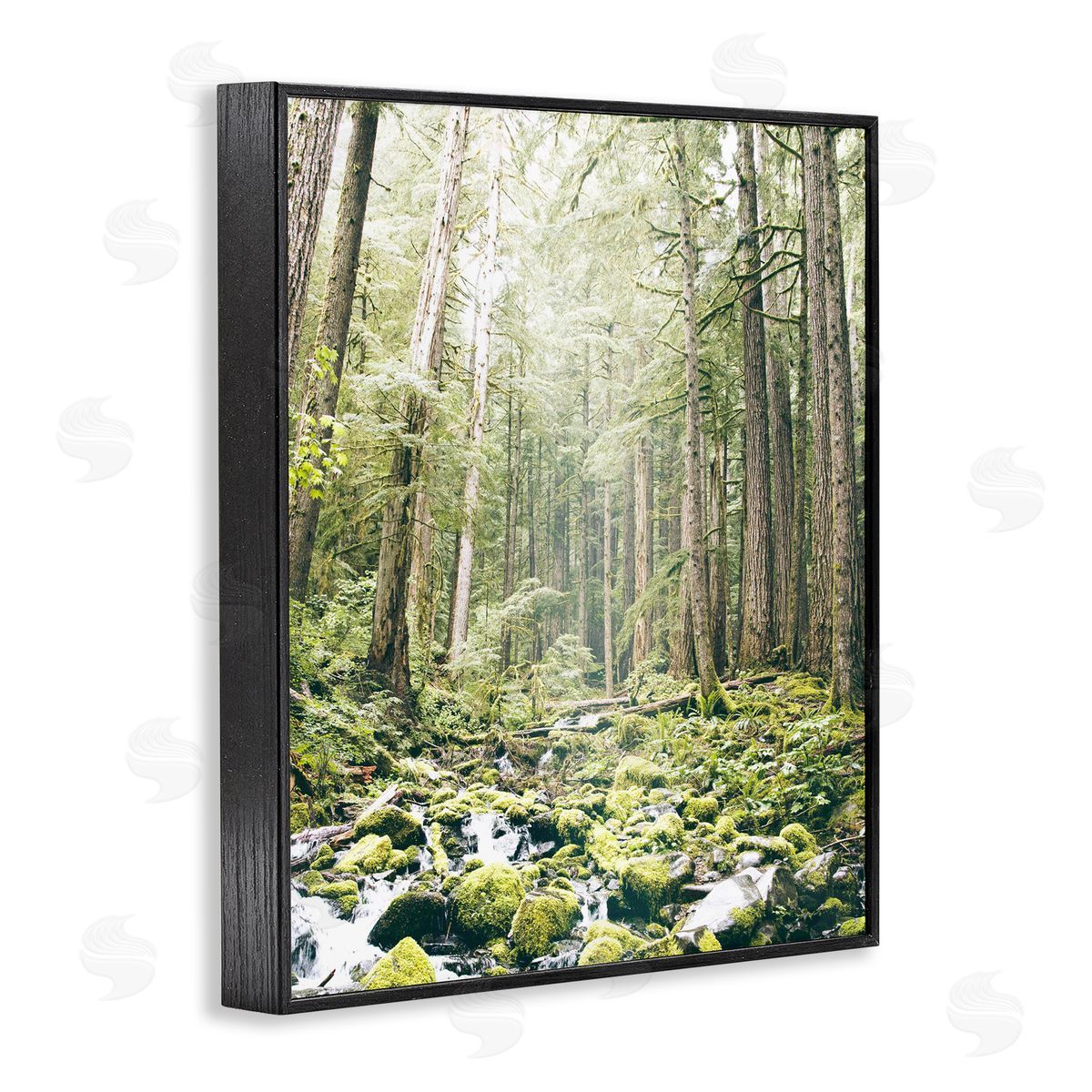 Leah Straatsma Verdant Forest Glow Wilderness Black Framed Giclee Art Print