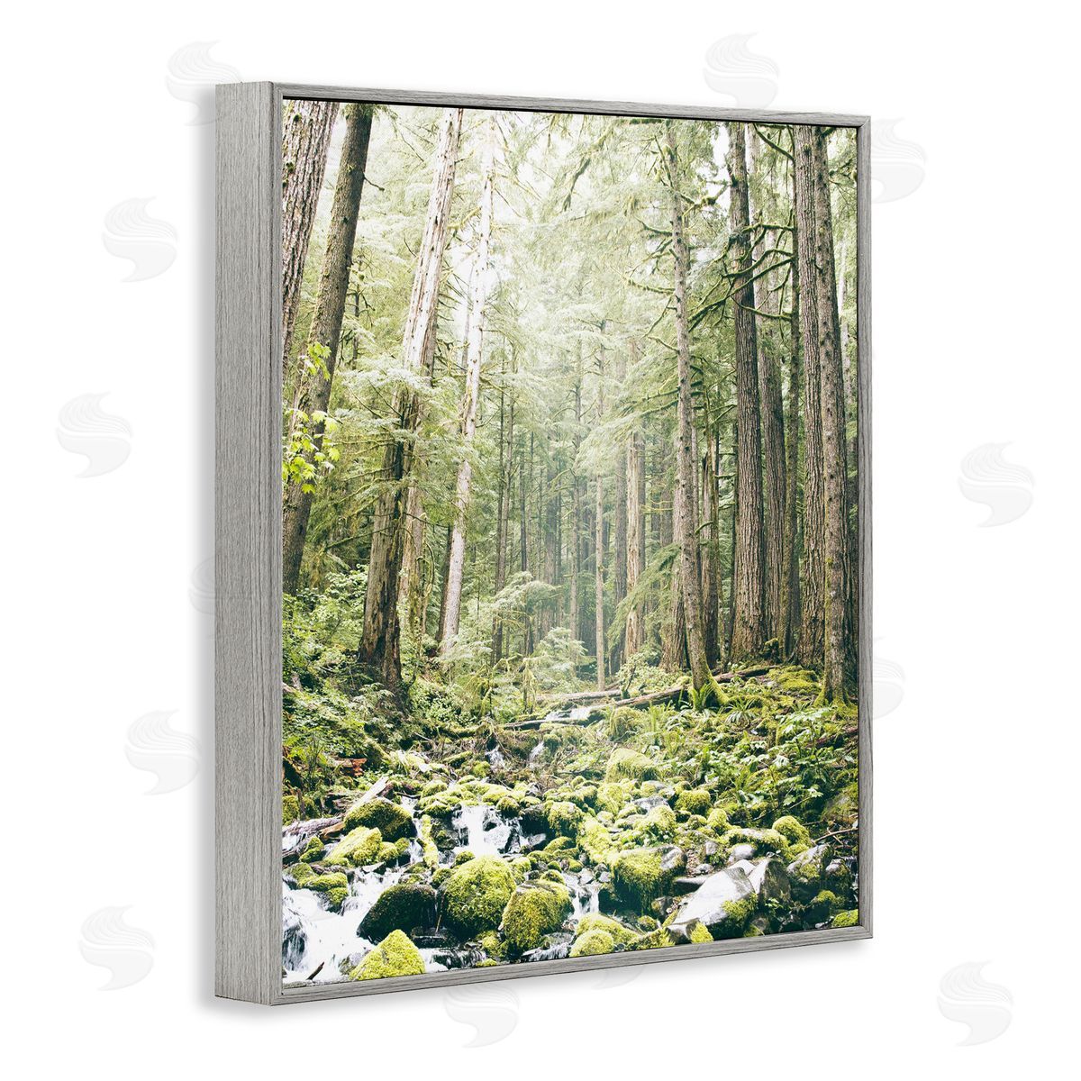 Leah Straatsma Verdant Forest Glow Wilderness Gray Framed Giclee Art Print