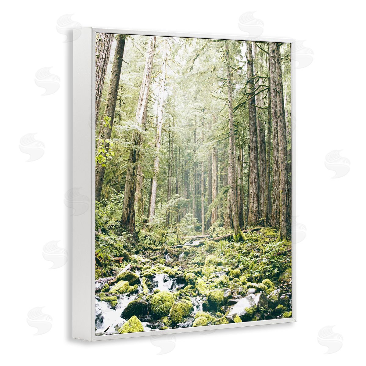 Leah Straatsma Verdant Forest Glow Wilderness White Frame Giclee Art Print