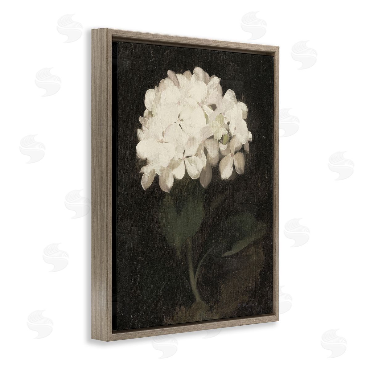 Leah Straatsma White Geranium Cluster Brown Floating Frame Canvas Art Print