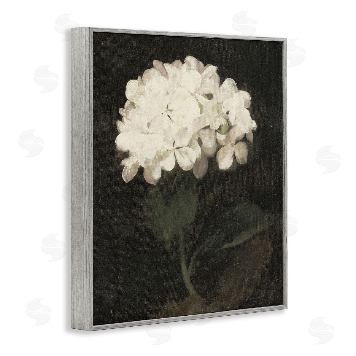 Leah Straatsma White Geranium Cluster Gray Framed Giclee Art Print