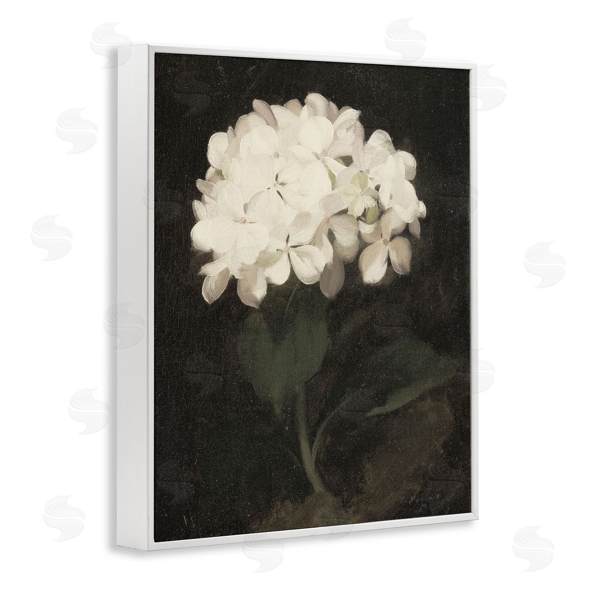 Leah Straatsma White Geranium Cluster White Frame Giclee Art Print