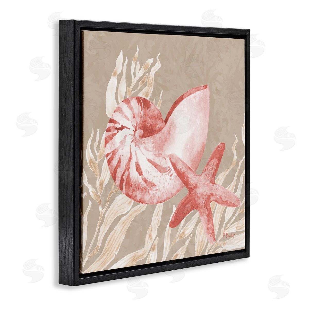 Paul Brent Peach Tampico Shells Black Floating Frame Canvas Wall Art Print