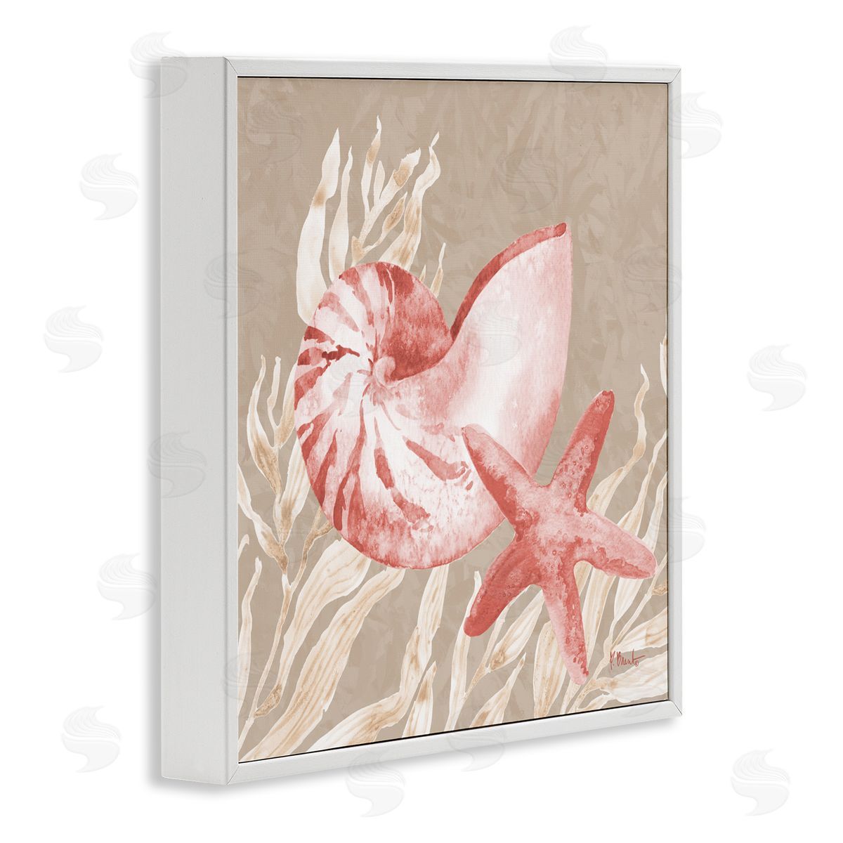 Paul Brent Peach Tampico Shells White Frame Giclee Art Print