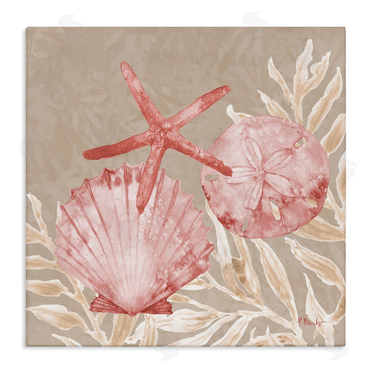 Paul Brent Tampico Shells & Starfish Canvas Wall Art Print