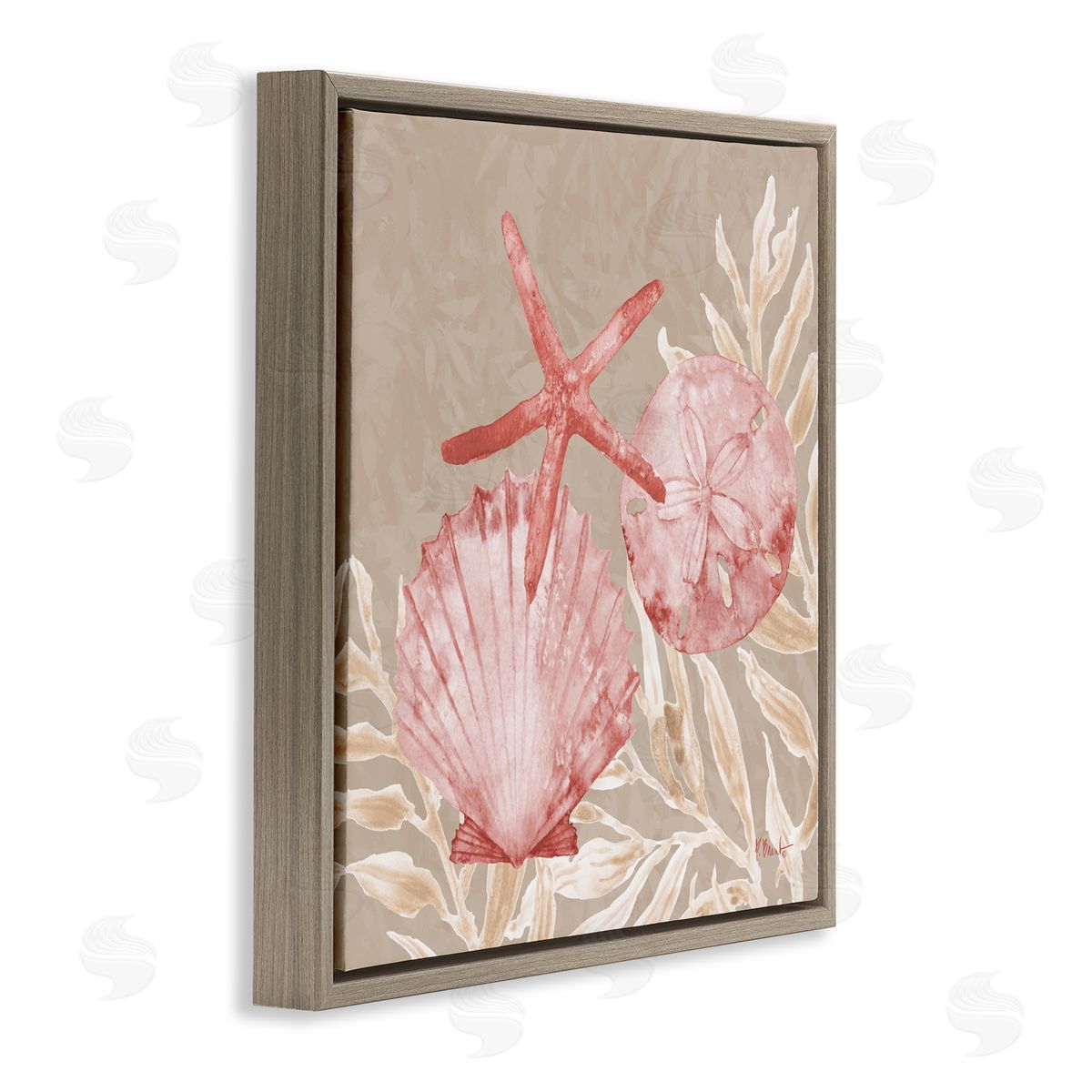 Paul Brent Tampico Shells & Starfish Brown Floating Frame Canvas Art Print