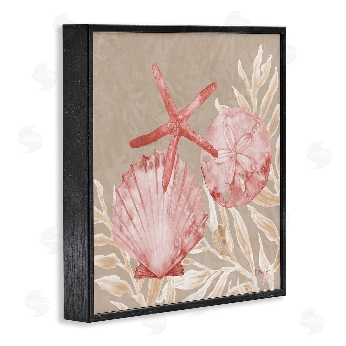 Paul Brent Tampico Shells & Starfish Black Framed Giclee Art Print