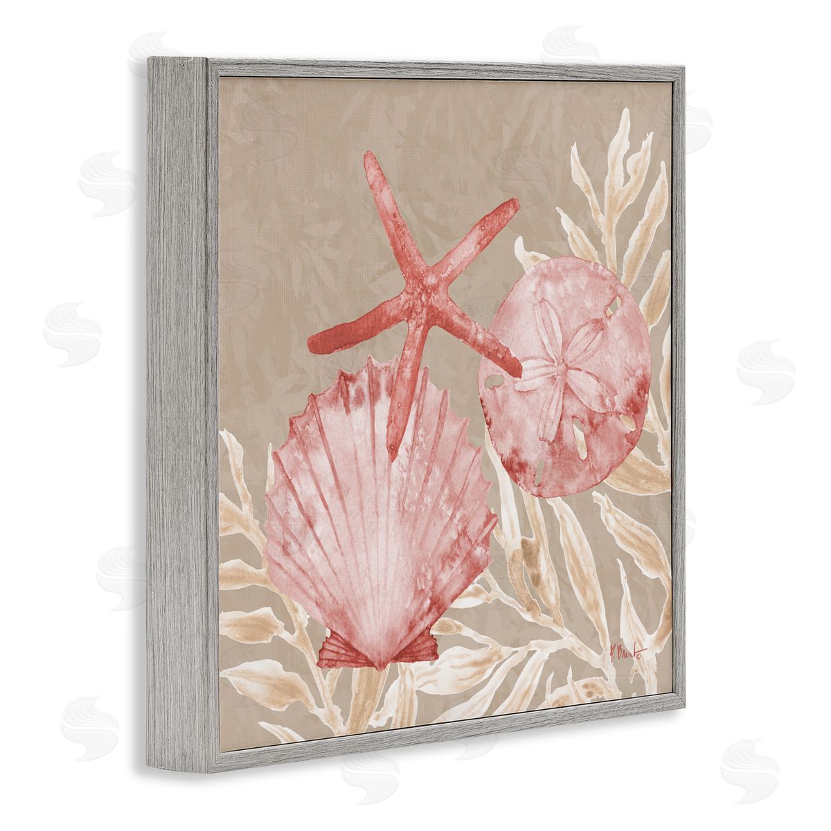 Paul Brent Tampico Shells & Starfish Gray Framed Giclee Art Print
