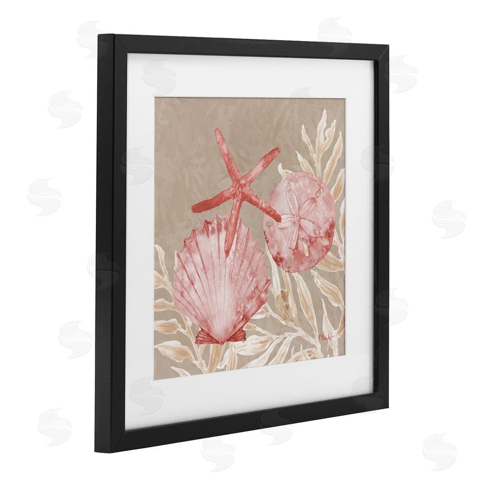 Paul Brent Tampico Shells & Starfish Black Framed Print Under Glass Art