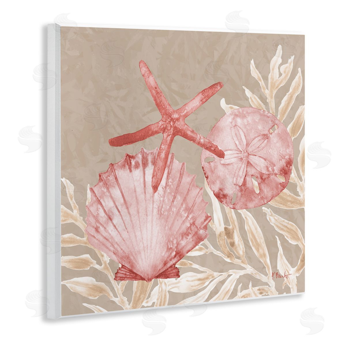 Paul Brent Tampico Shells & Starfish Wall Plaque Art Print