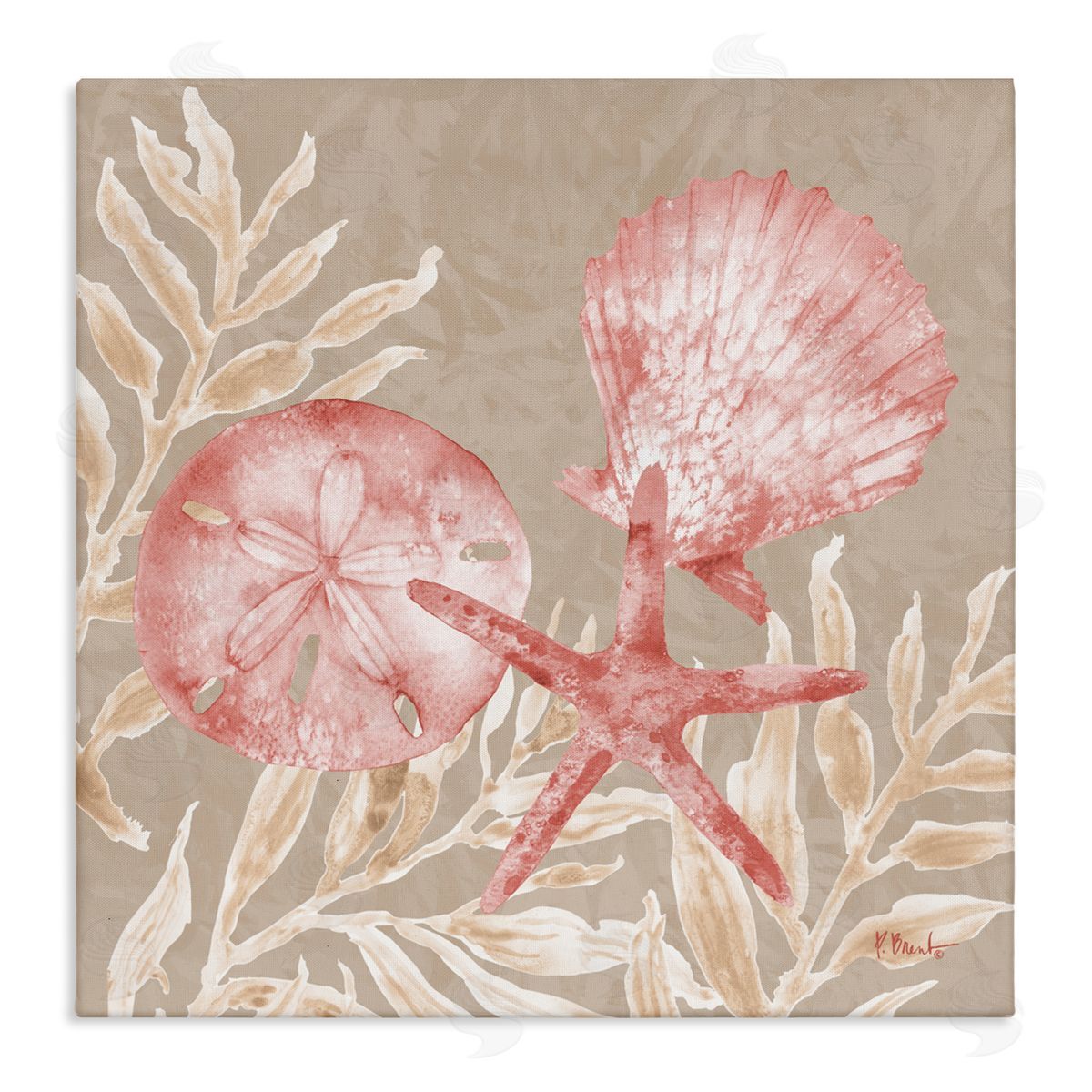 Paul Brent Tampico Shells & Sand Dollar Canvas Wall Art Print