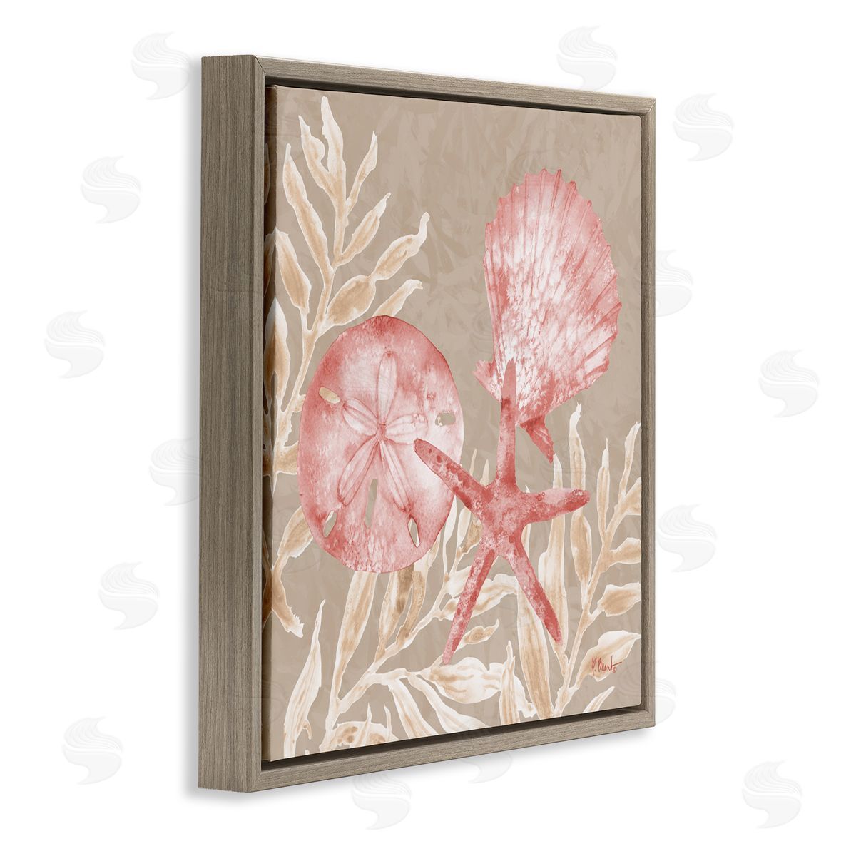 Paul Brent Tampico Shells & Sand Dollar Brown Floating Frame Canvas Art Print
