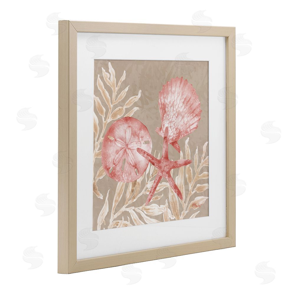 Paul Brent Tampico Shells & Sand Dollar Birch Framed Print Under Glass Art