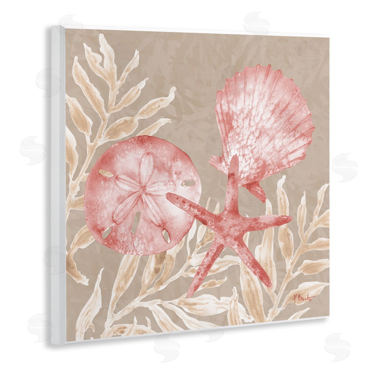 Paul Brent Tampico Shells & Sand Dollar Wall Plaque Art Print