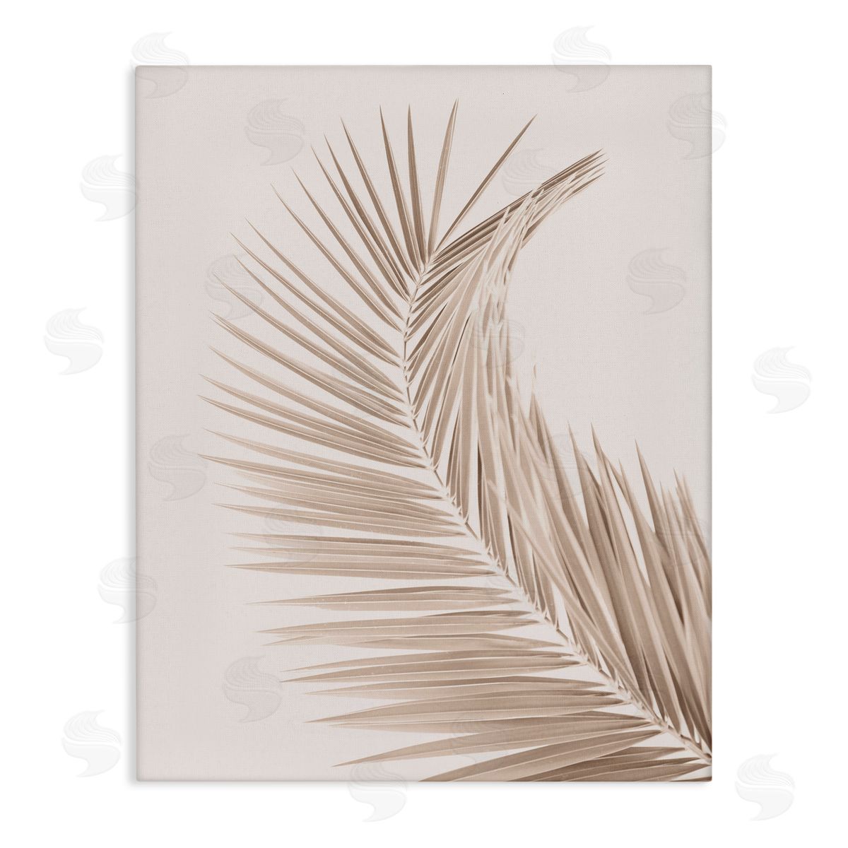 Sisi and Seb Curved Neutral Brown Palm Canvas Wall Art Print