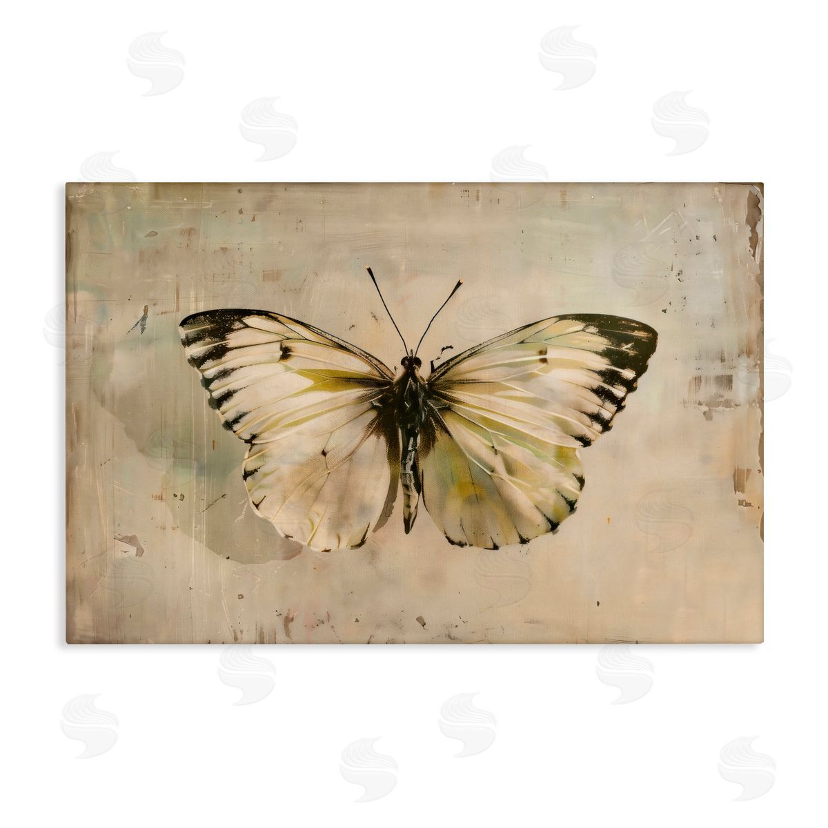 Creative Studio Graceful Vintage Butterfly Canvas Wall Art Print