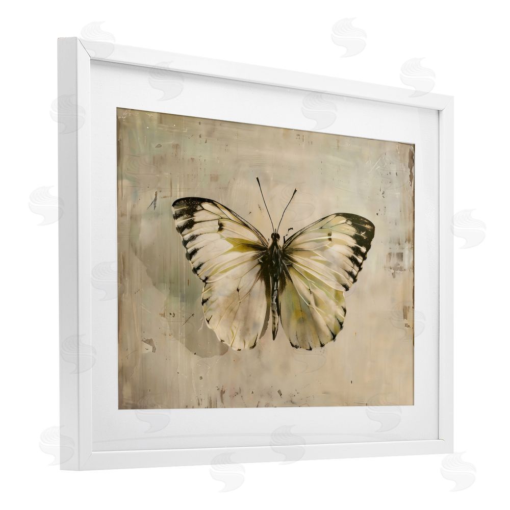 Creative Studio Graceful Vintage Butterfly White Framed Print Under Glass Art