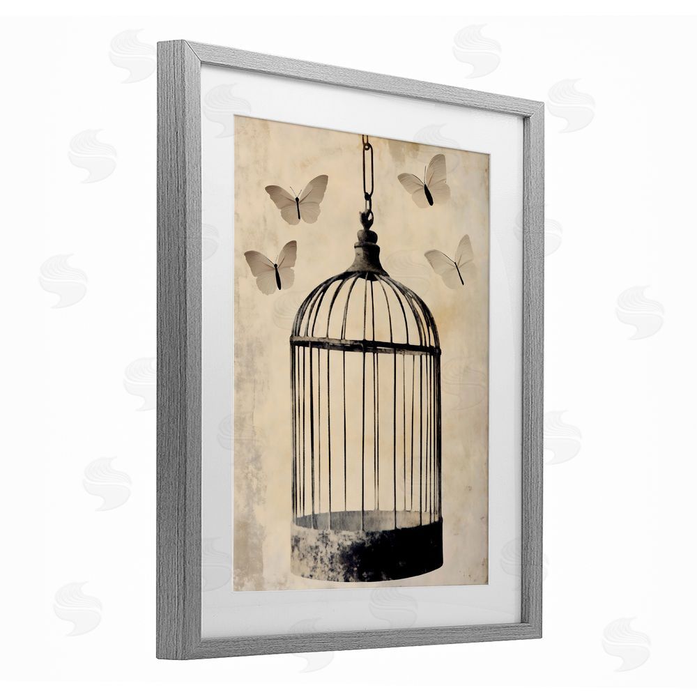 Franklyn Gregory Antique Uncaged Butterflies Gray Framed Print Under Glass with White Mat Wall Art