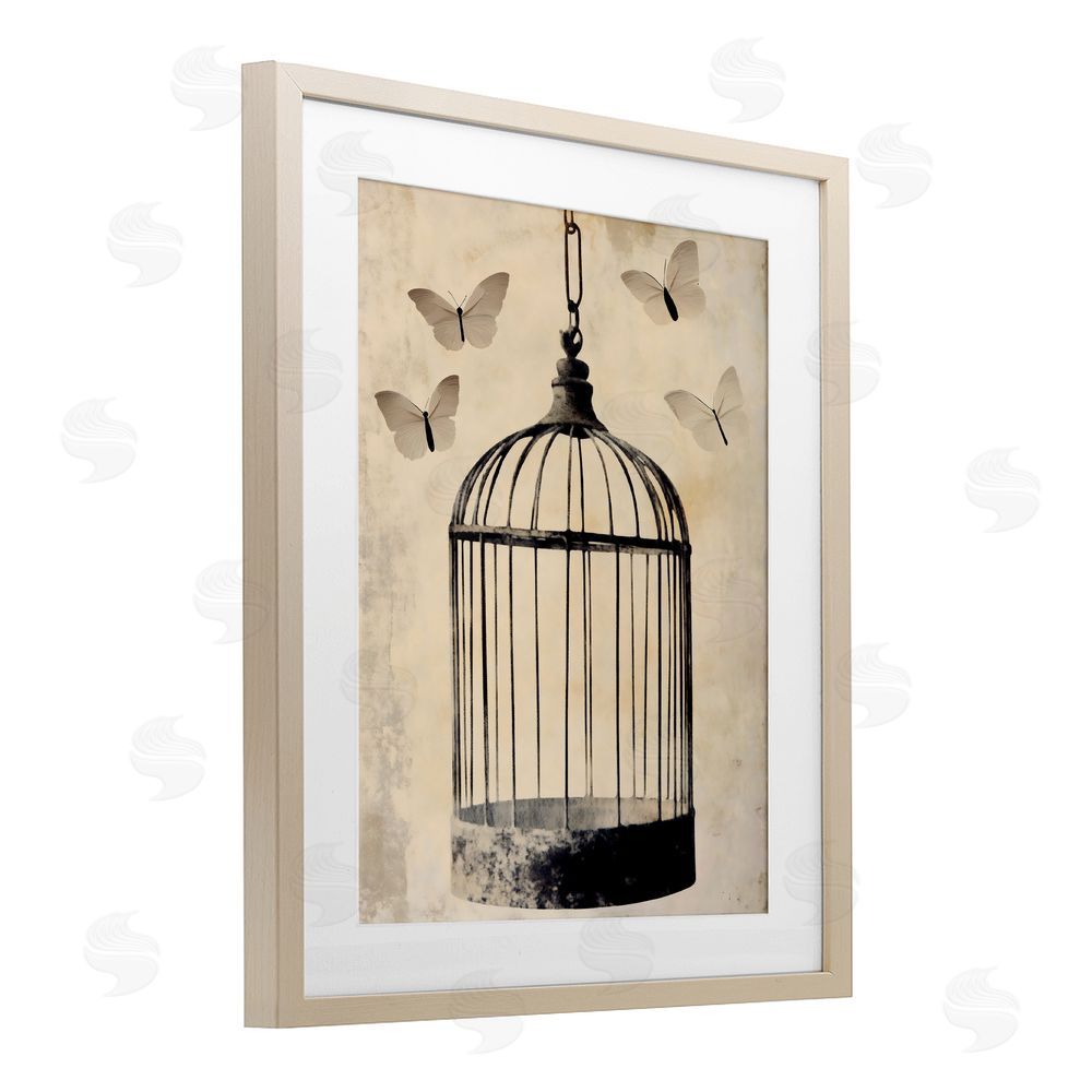 Franklyn Gregory Antique Uncaged Butterflies Birch Framed Print Under Glass with White Mat Wall Art