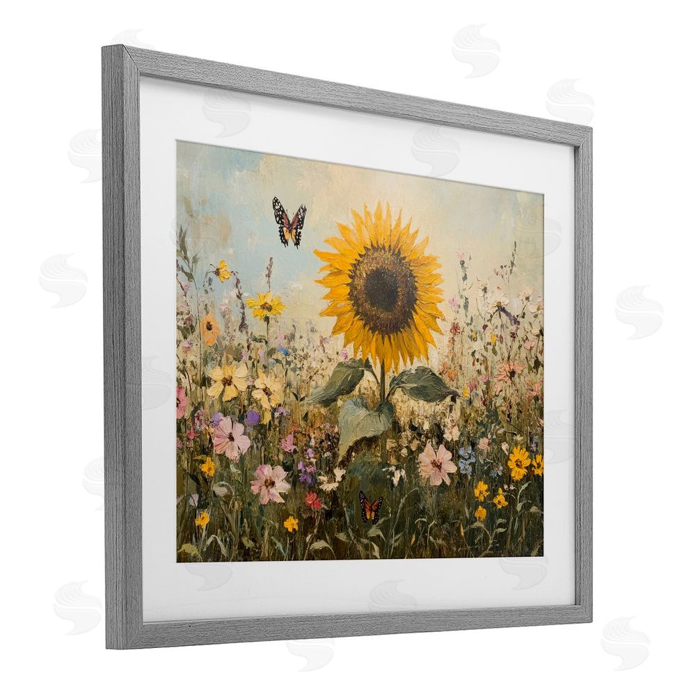 Petal Prints Design Sunflower Wonder Summer Meadow Gray Framed Print Under Glass with White Mat Wall Art