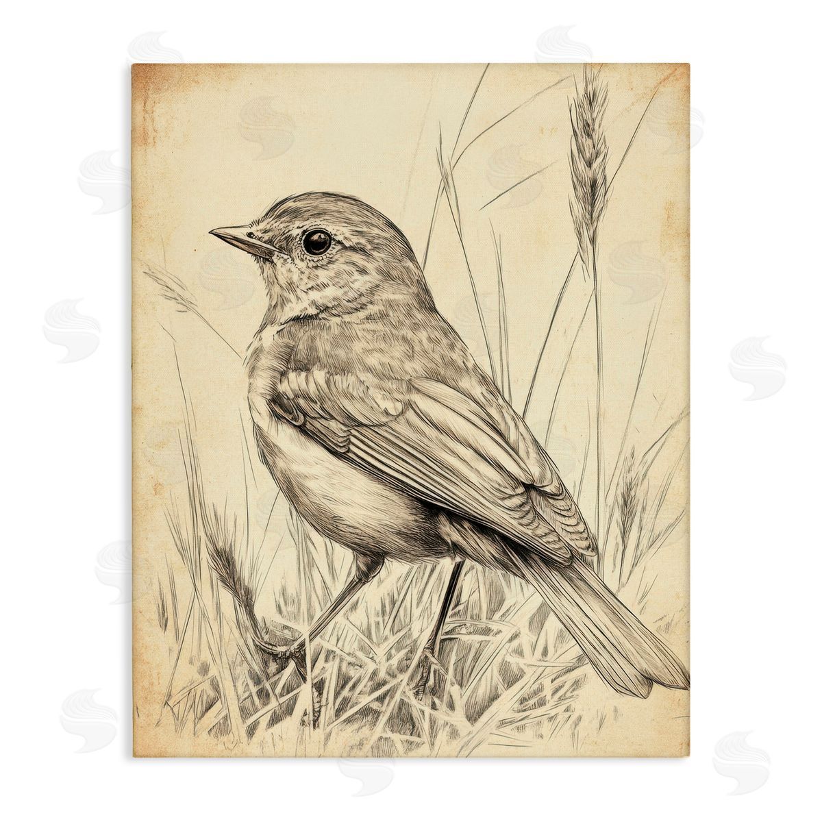 Petal Prints Design Vintage Small Sketched Bird Canvas Wall Art Print