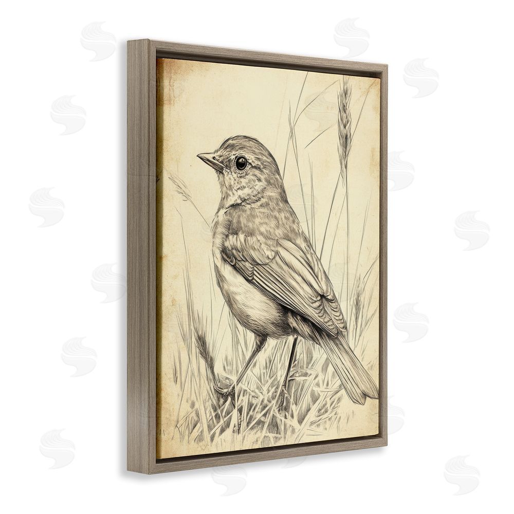 Petal Prints Design Vintage Small Sketched Bird Brown Floating Frame Canvas Wall Art Print