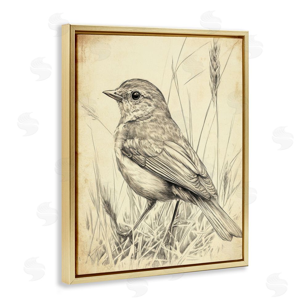 Petal Prints Design Vintage Small Sketched Bird Gold Floating Frame Canvas Wall Art Print