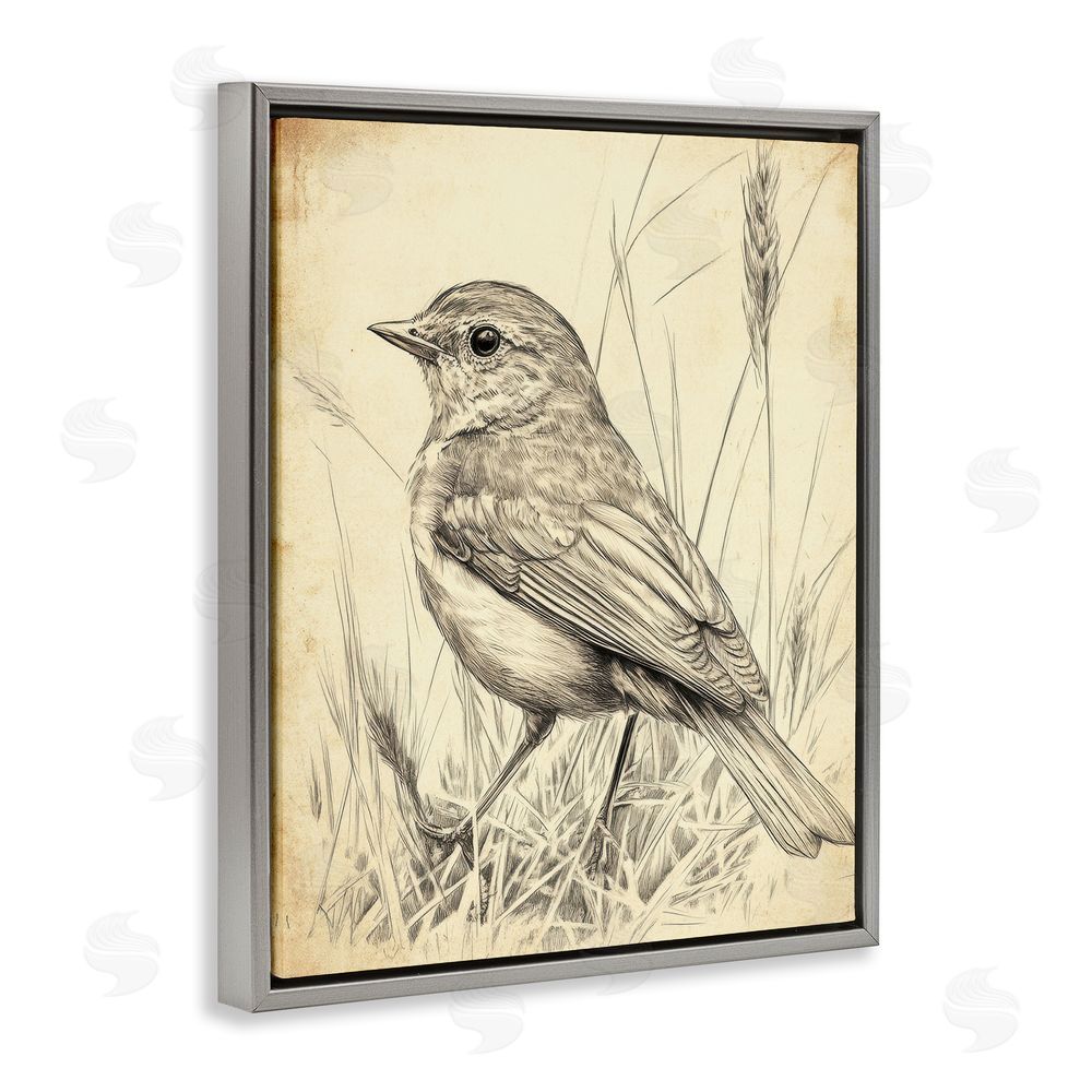 Petal Prints Design Vintage Small Sketched Bird Gray Floating Frame Canvas Wall Art Print