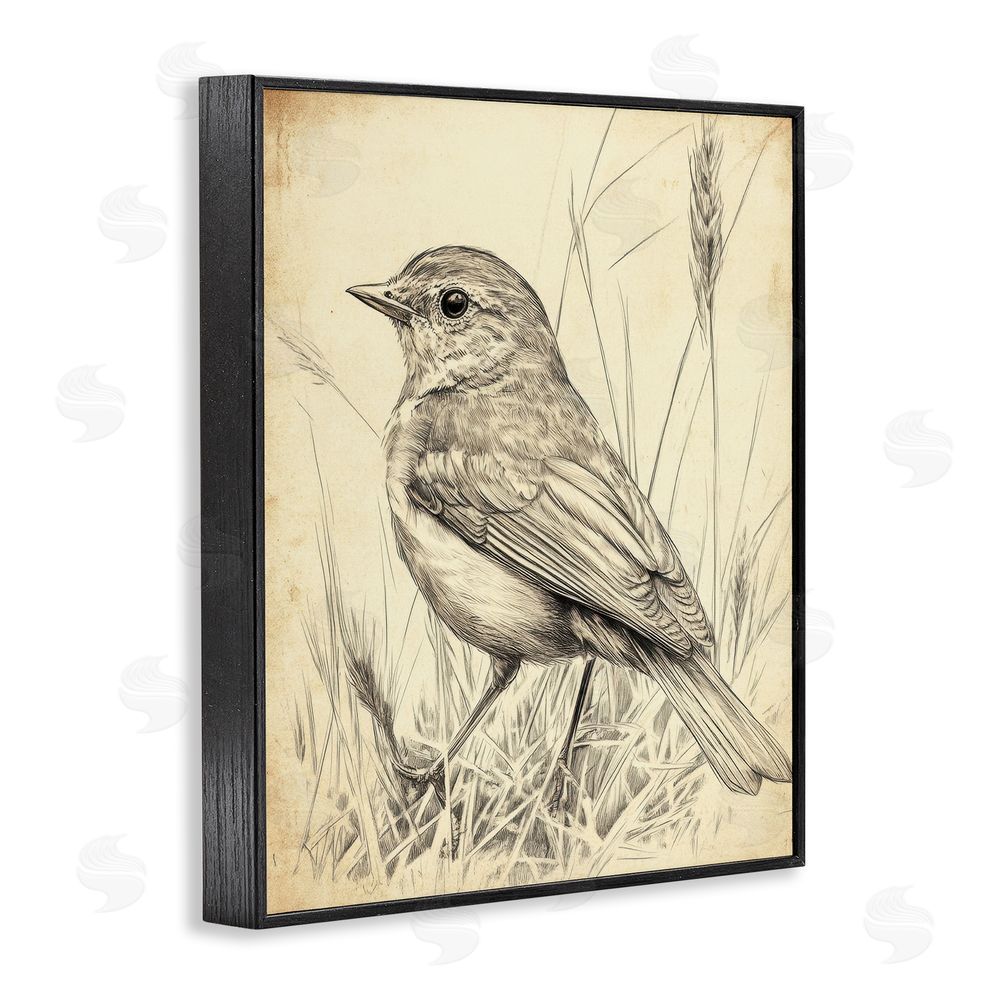 Petal Prints Design Vintage Small Sketched Bird Black Framed Giclee Wall Art Print
