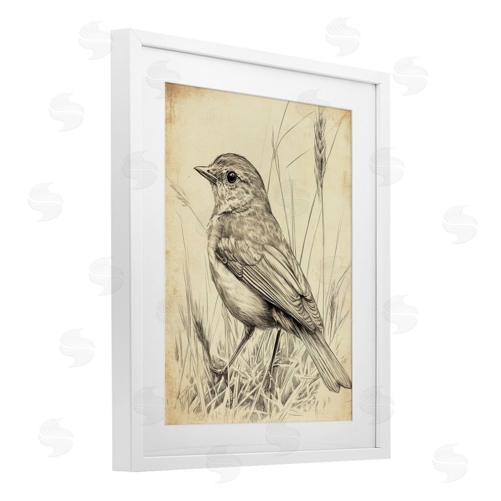 Petal Prints Design Vintage Small Sketched Bird White Framed Print Under Glass with Mat Wall Art