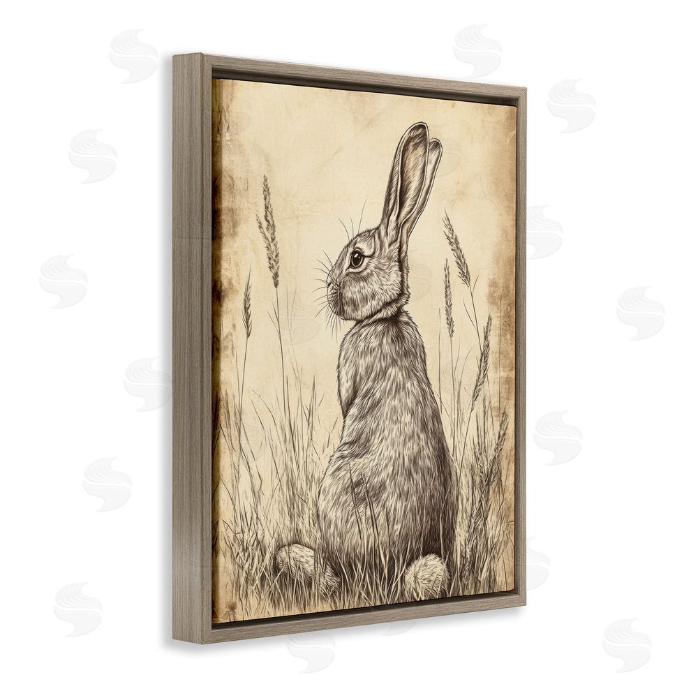 Petal Prints Design Vintage Aged Bunny Portrait Brown Floating Frame Canvas Wall Art Print