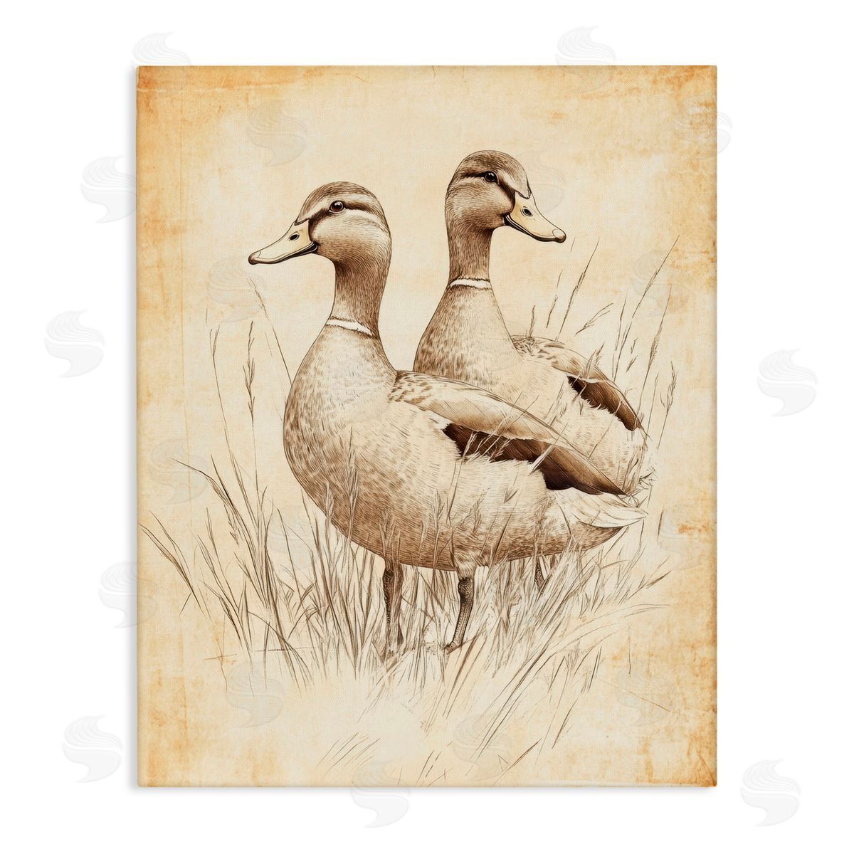 Petal Prints Design Vintage Pair of Ducks Canvas Wall Art Print