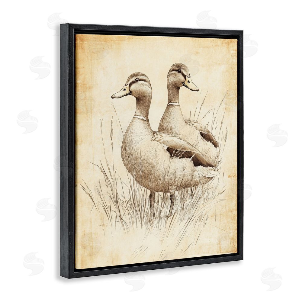 Petal Prints Design Vintage Pair of Ducks Black Floating Frame Canvas Wall Art Print