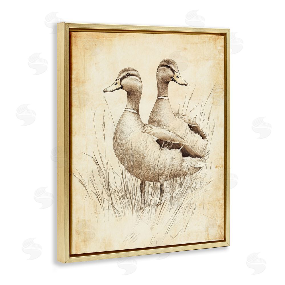 Petal Prints Design Vintage Pair of Ducks Gold Floating Frame Canvas Wall Art Print