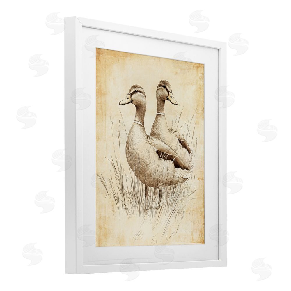Petal Prints Design Vintage Pair of Ducks White Framed Print Under Glass with Mat Wall Art