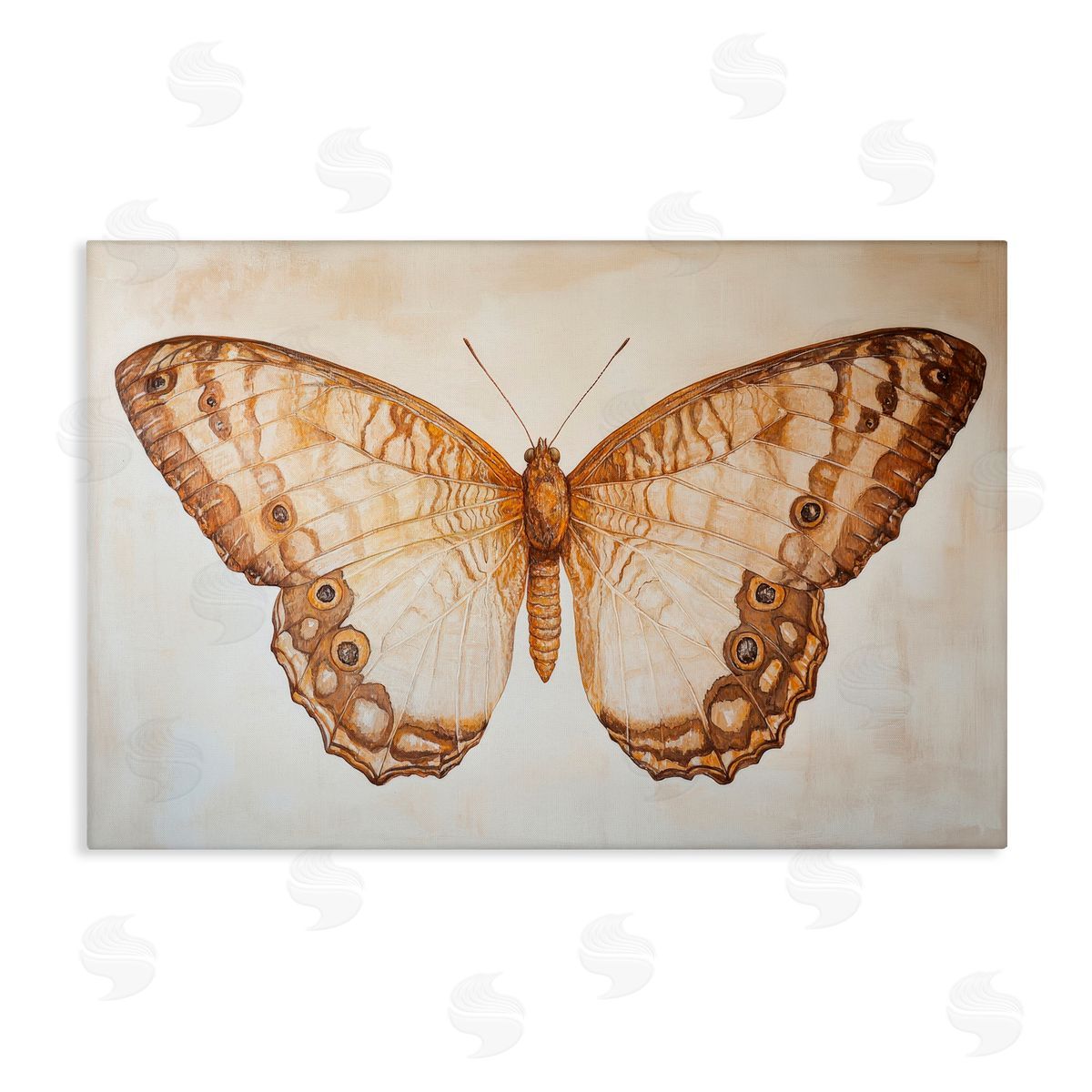 Petal Prints Design Vintage Sepia Moth Illustration Canvas Wall Art Print