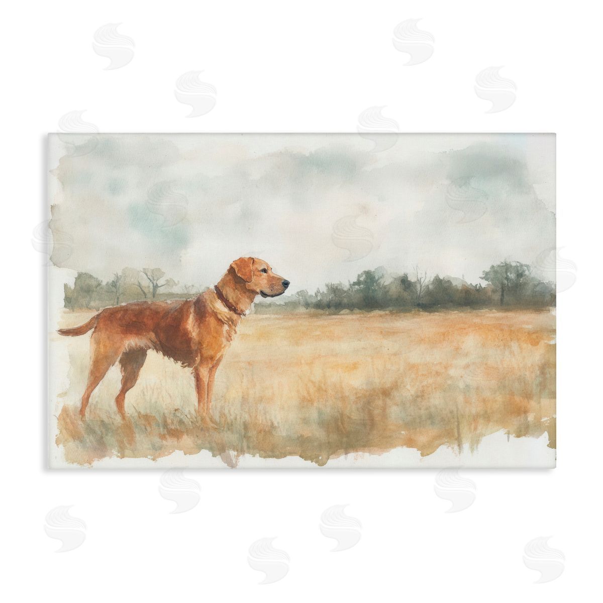 Petal Prints Design Retriever Dog in Open Field Canvas Wall Art Print