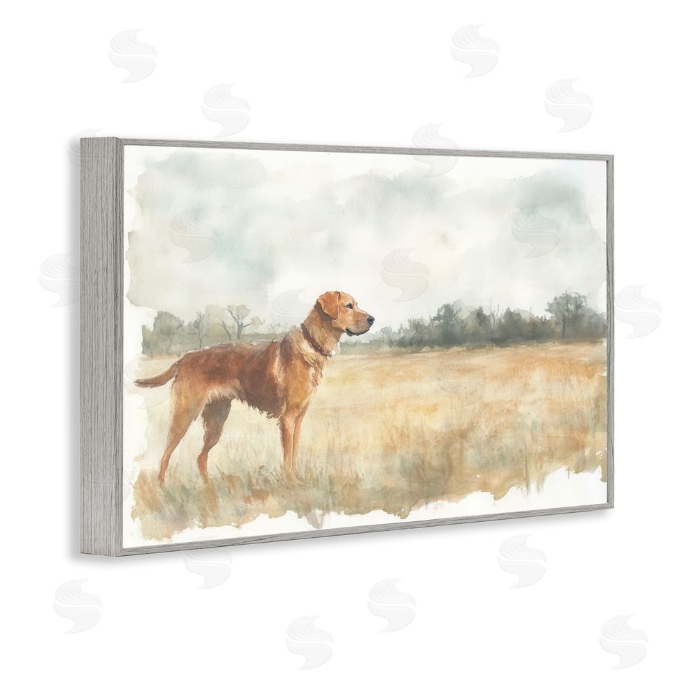 Petal Prints Design Retriever Dog in Open Field Gray Framed Giclee Wall Art Print