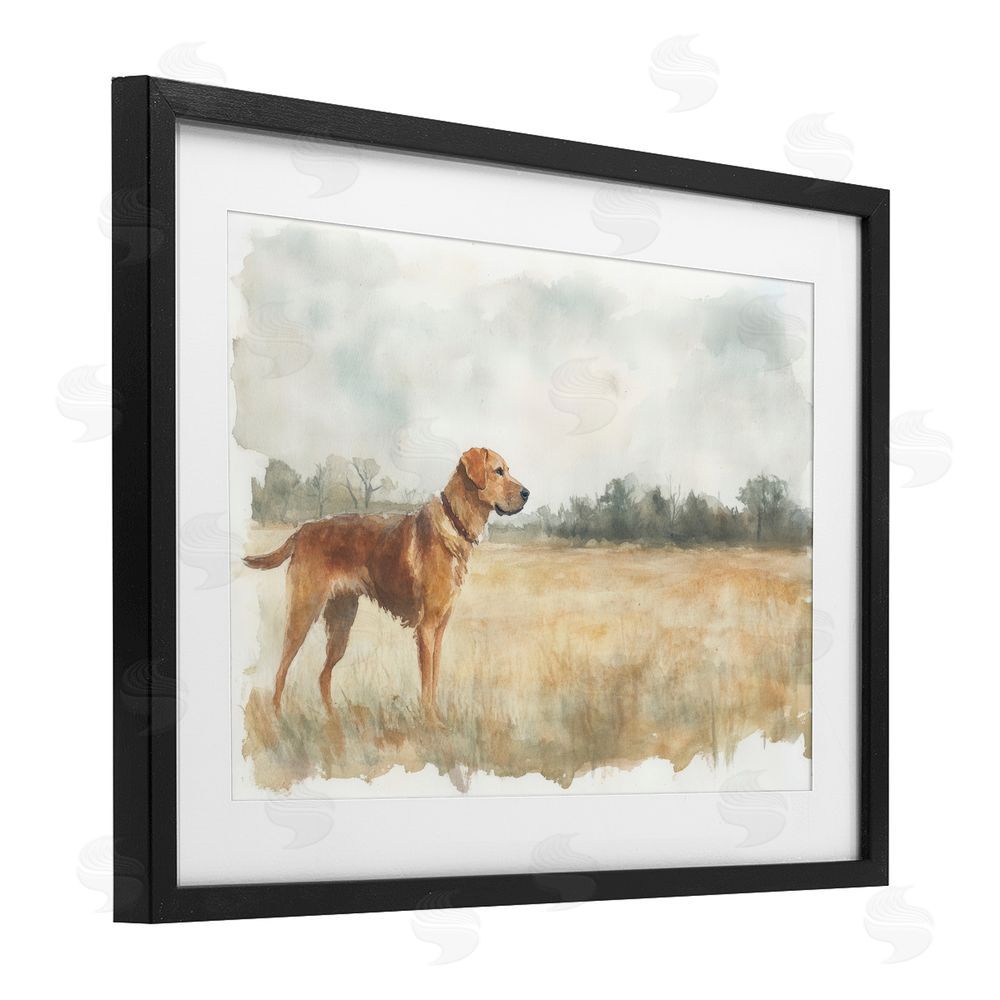 Petal Prints Design Retriever Dog in Open Field Black Framed Print Under Glass with White Mat Wall Art