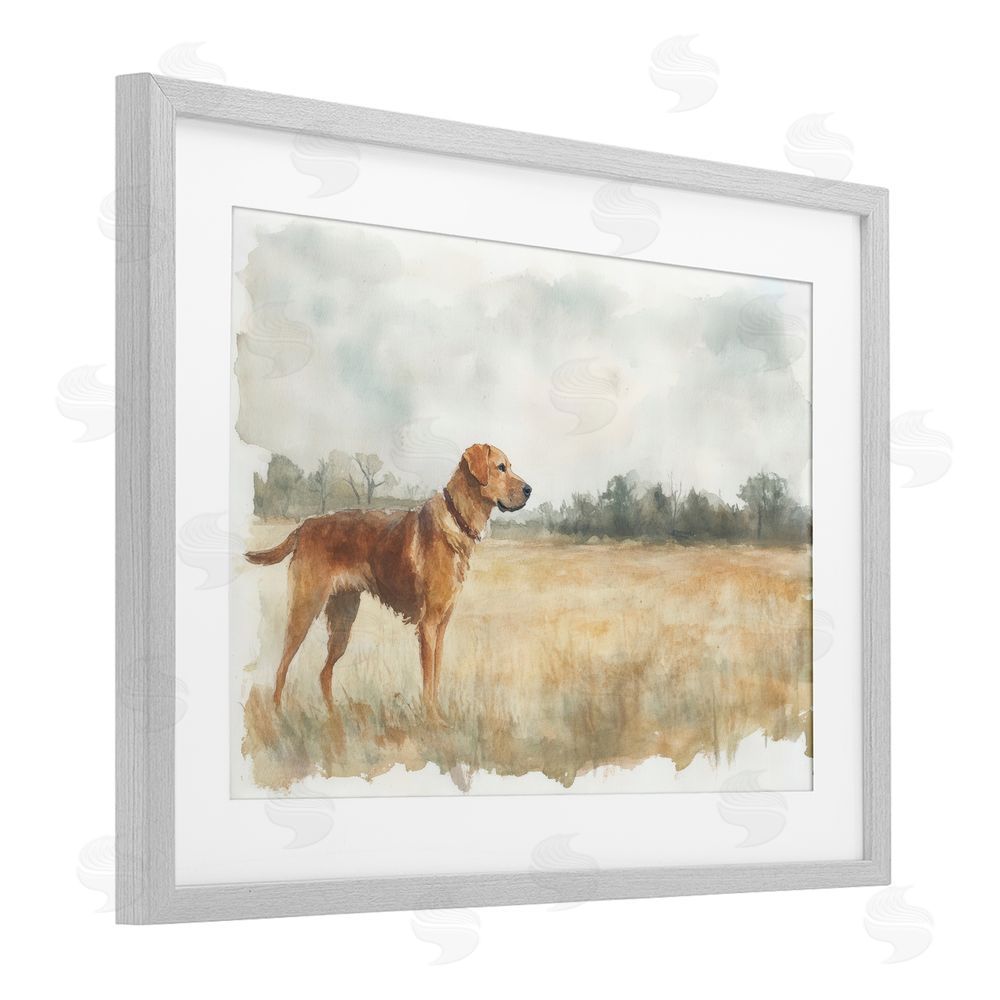 Petal Prints Design Retriever Dog in Open Field Gray Framed Print Under Glass with White Mat Wall Art