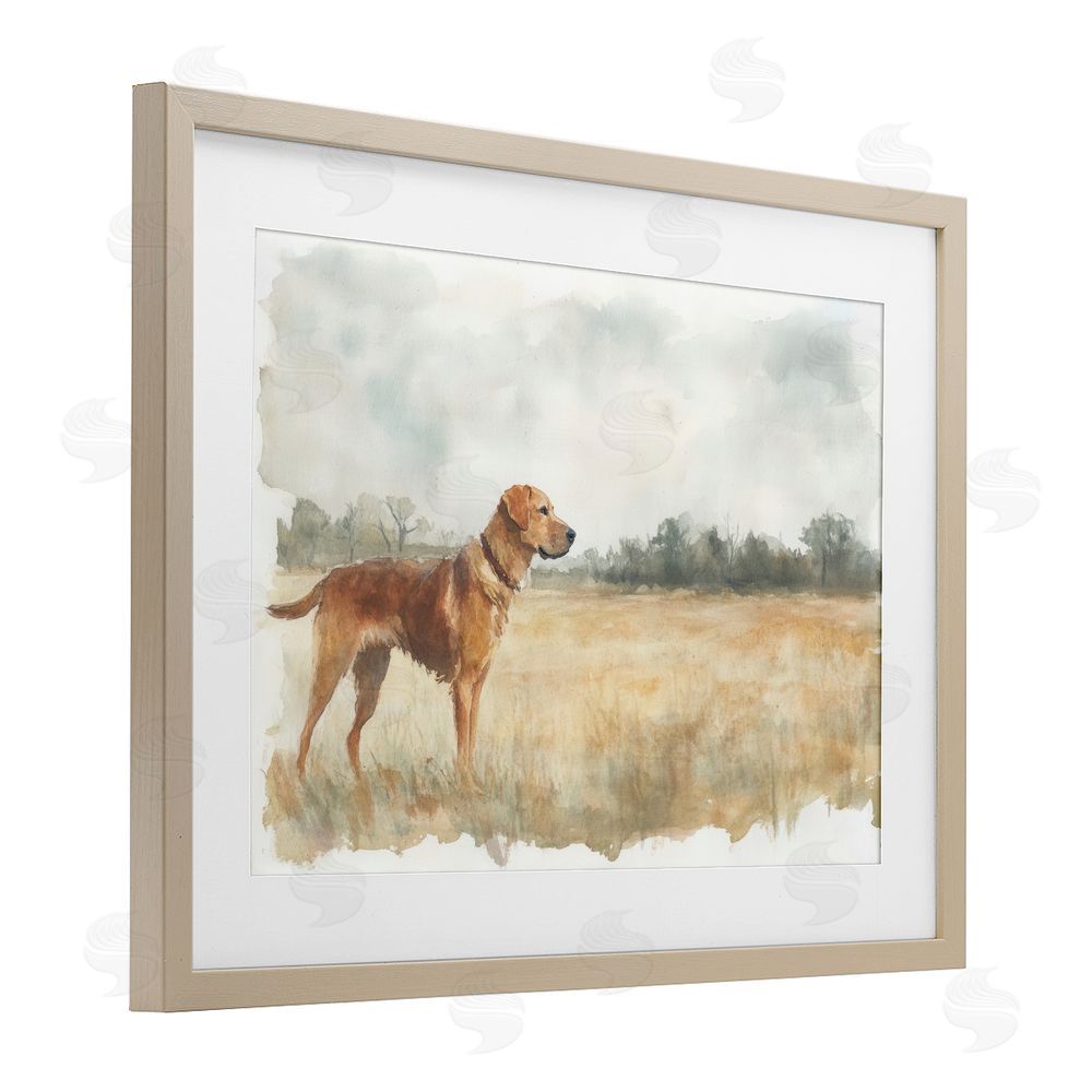 Petal Prints Design Retriever Dog in Open Field Birch Framed Print Under Glass with White Mat Wall Art