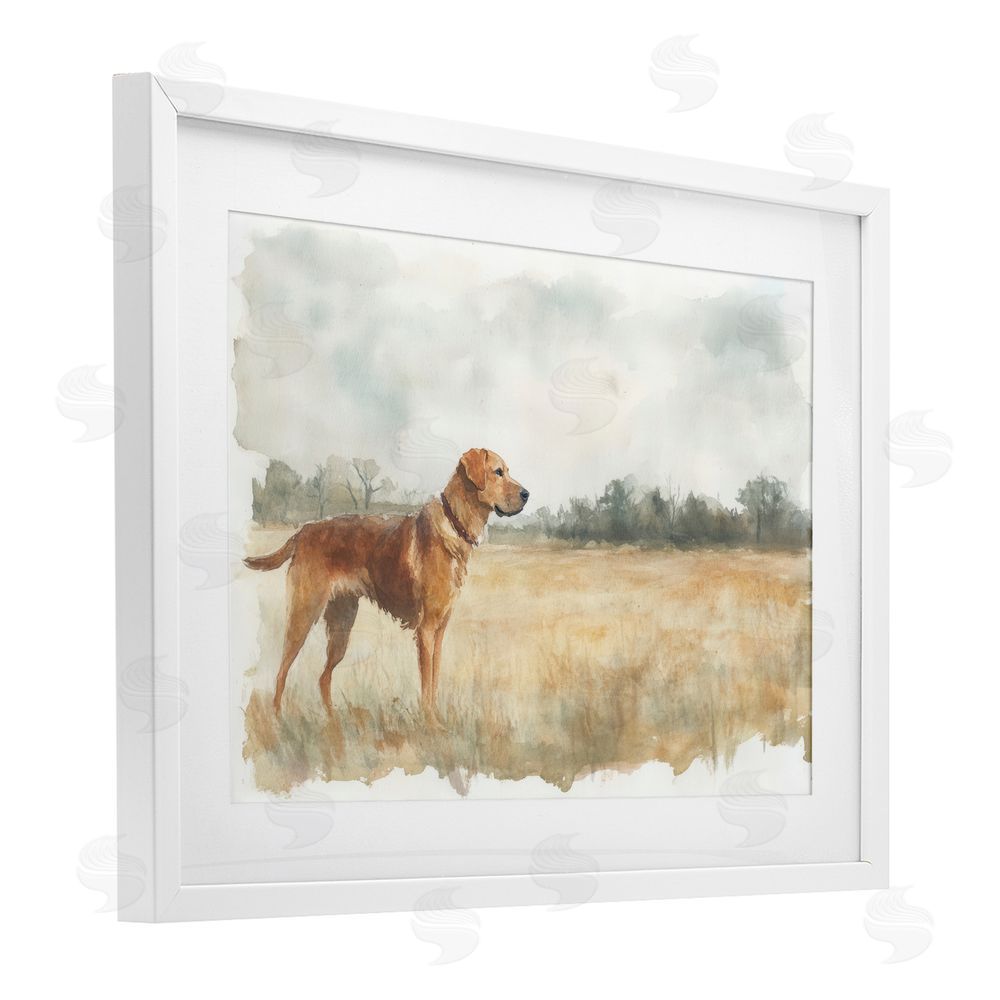 Petal Prints Design Retriever Dog in Open Field White Framed Print Under Glass with Mat Wall Art