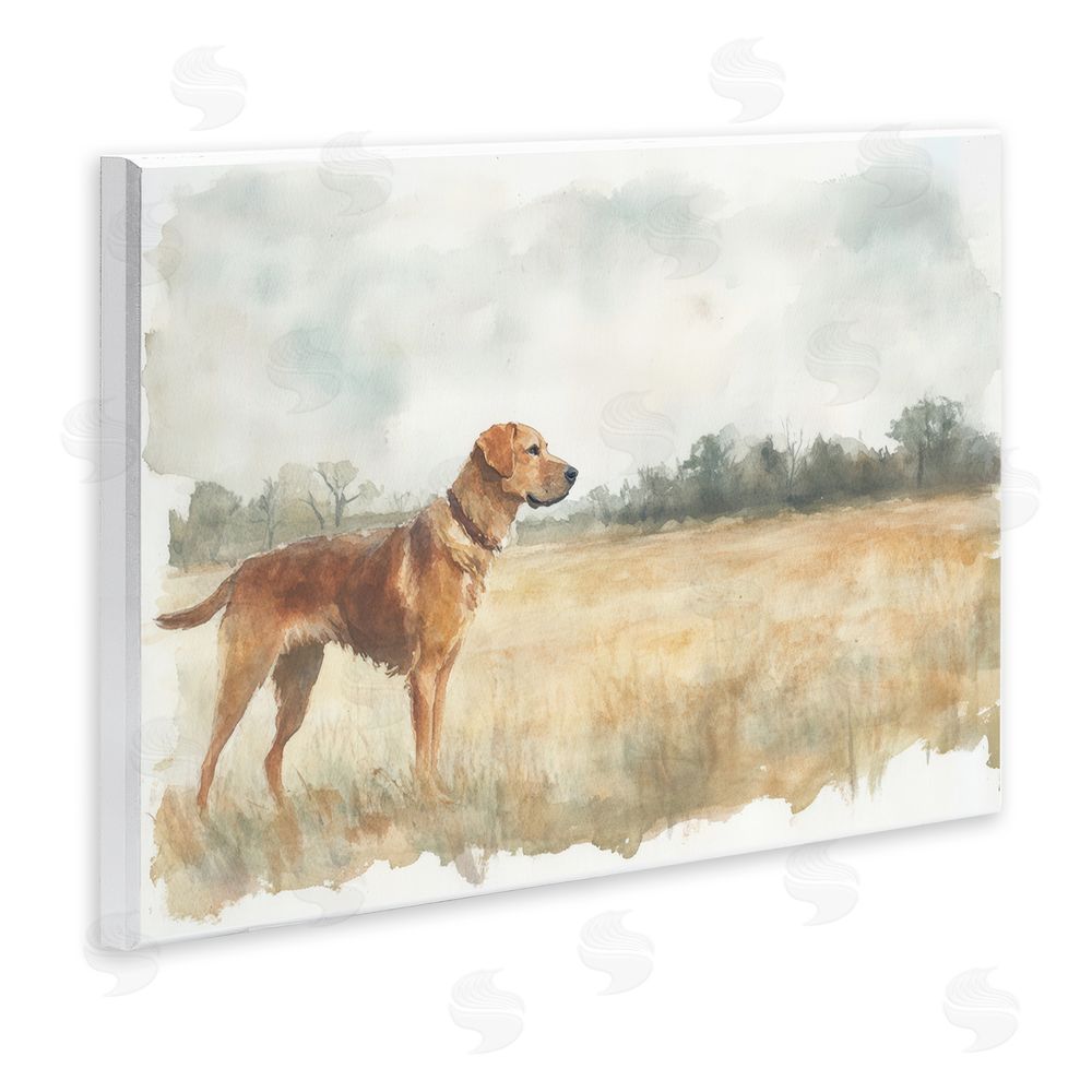 Petal Prints Design Retriever Dog in Open Field Wall Plaque Art Print
