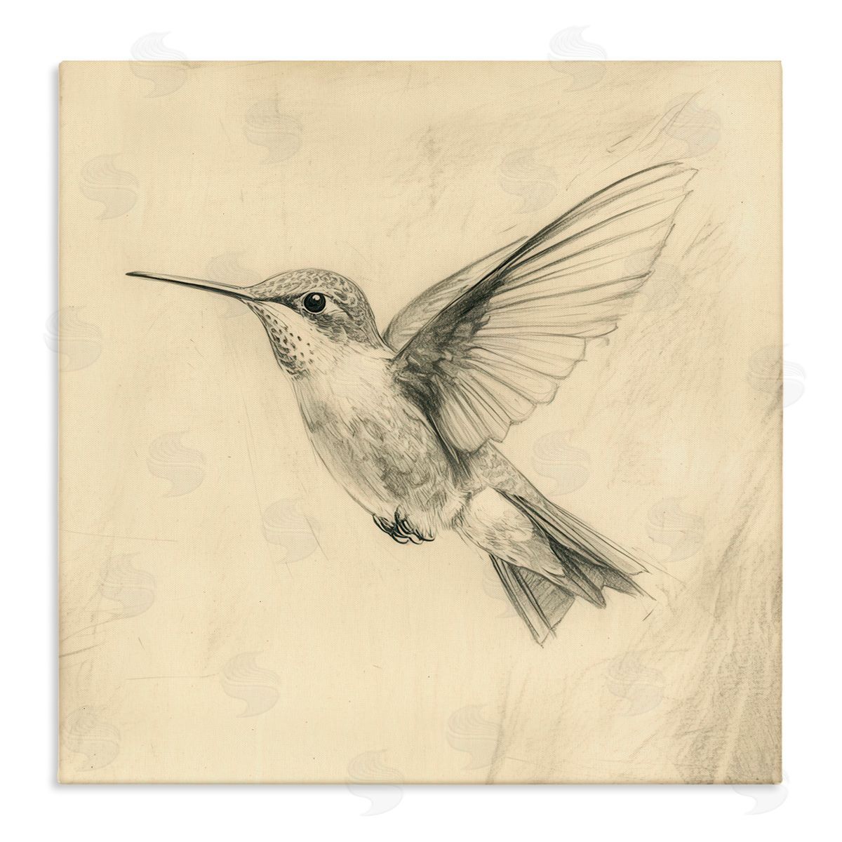 Petal Prints Design Vintage Hummingbird Sketch Canvas Wall Art Print