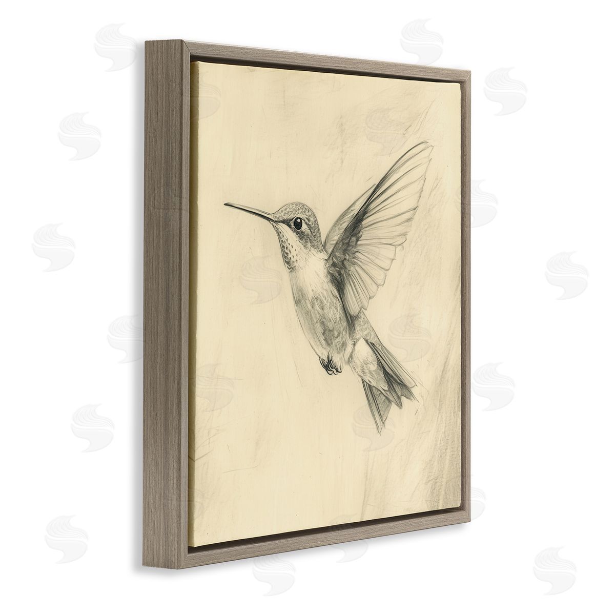 Petal Prints Design Vintage Hummingbird Sketch Brown Floating Frame Canvas Wall Art Print
