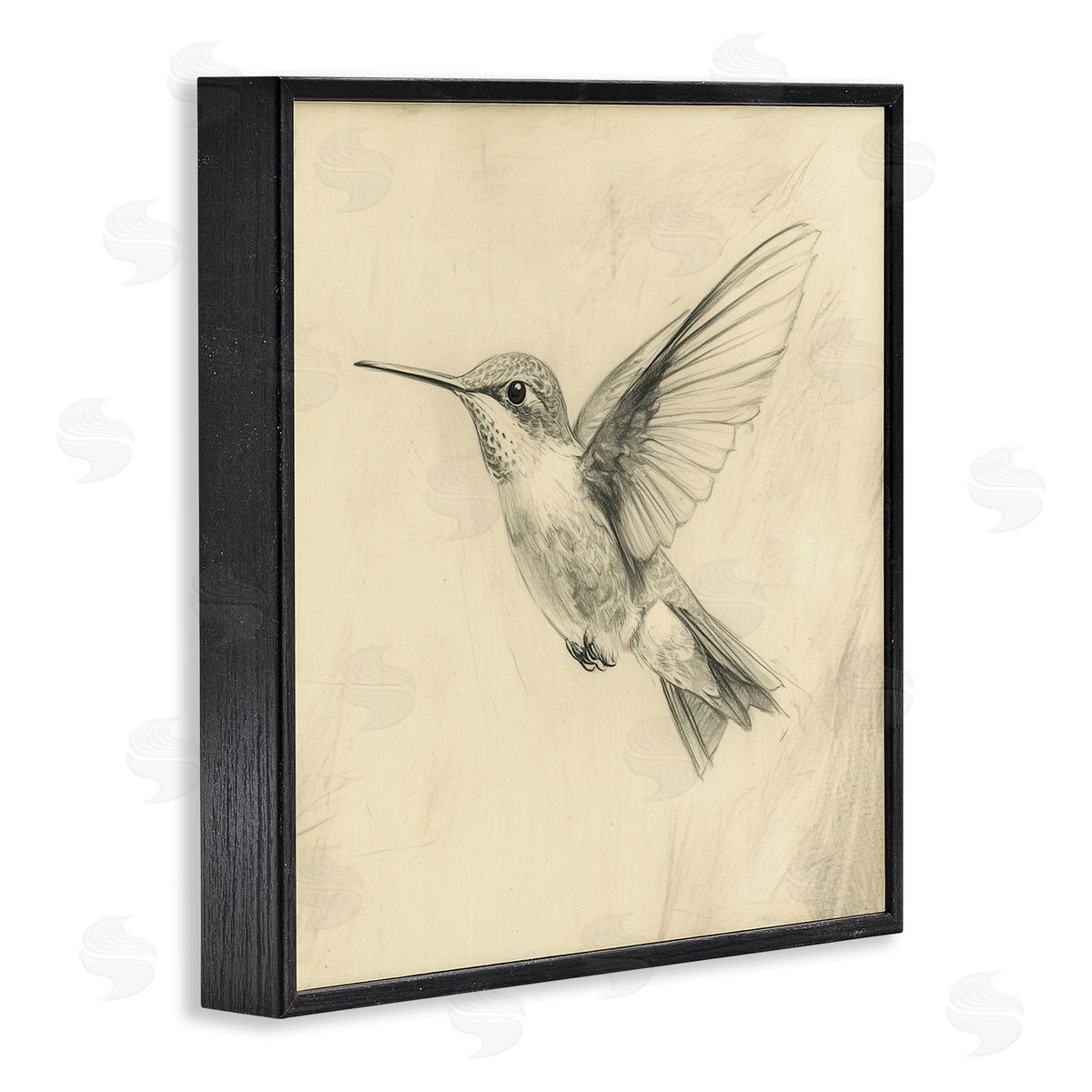 Petal Prints Design Vintage Hummingbird Sketch Black Framed Giclee Wall Art Print
